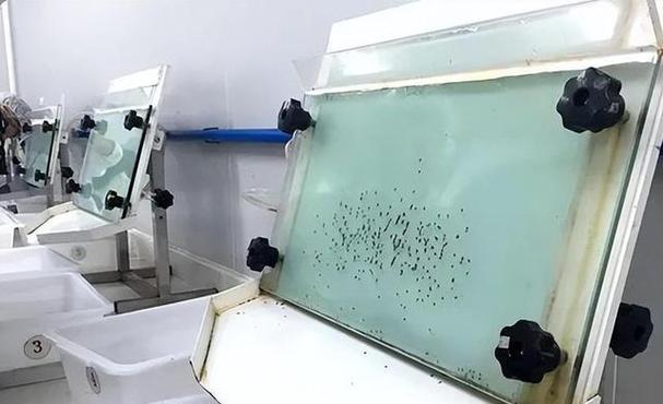 巴西全球最大“蚊子工厂”准备投产