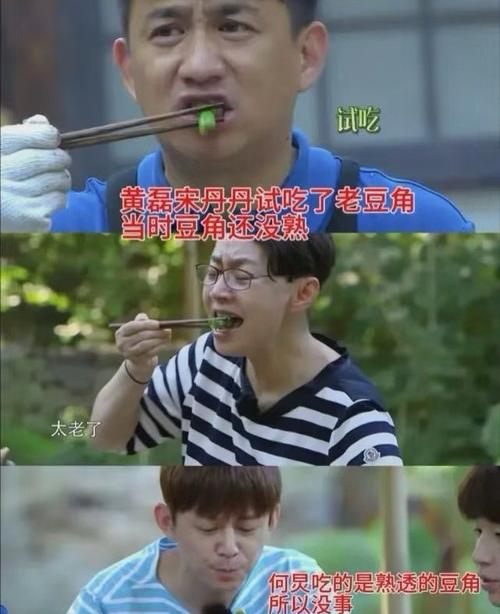 黄磊首次回应未熟豆角食物中毒争议