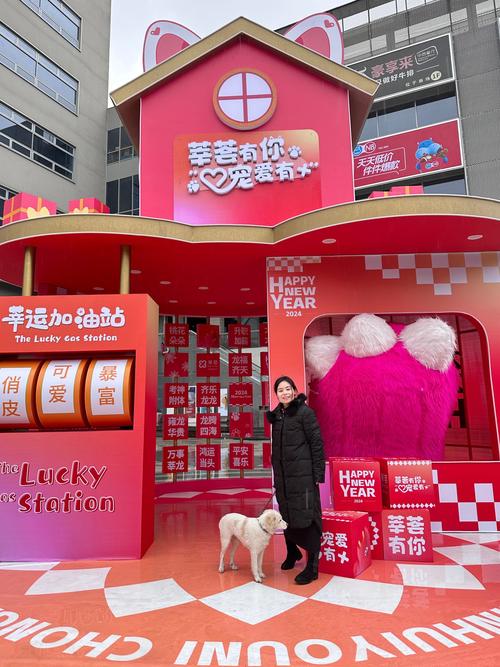 “毛孩子”或成商场新流量密码
