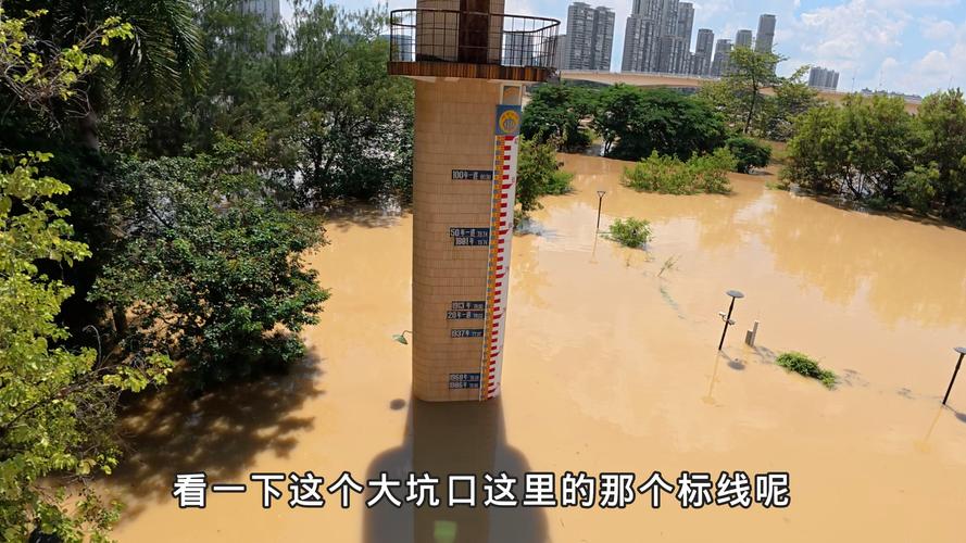 南宁邕江水位上涨 江面与路面持平