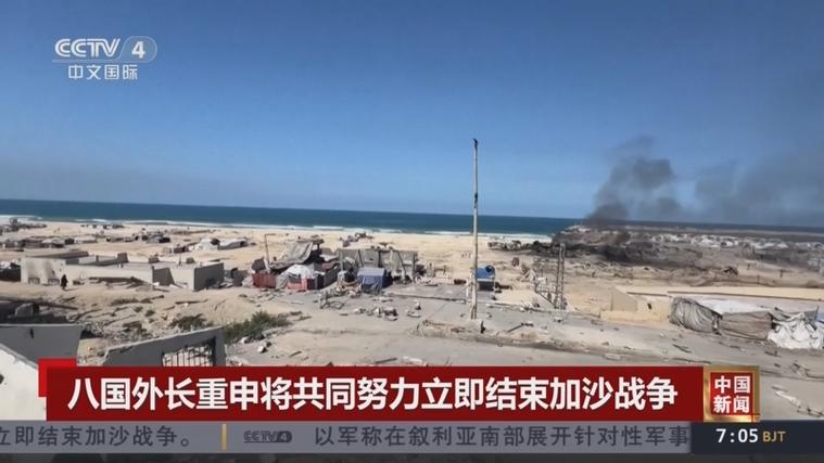 八国外长重申立即结束加沙战争