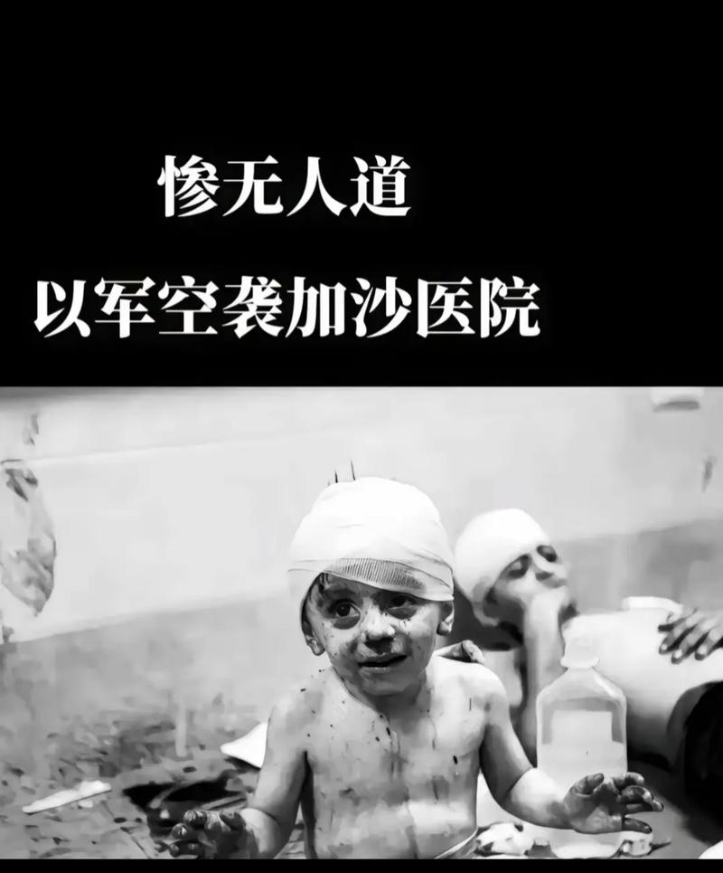 八国外长重申立即结束加沙战争