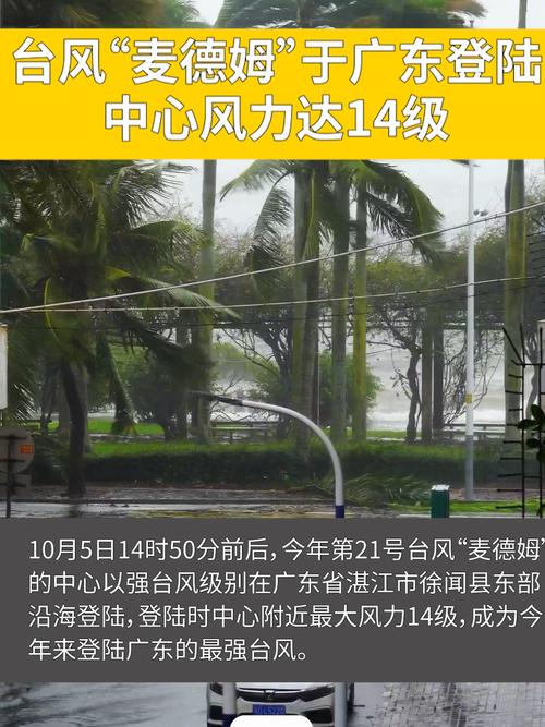 台风麦德姆登陆广东 最大风力14级