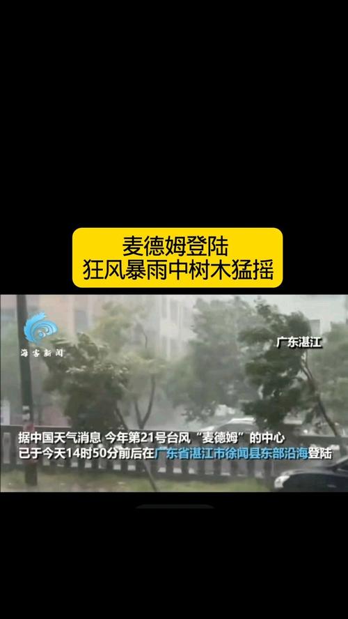 麦德姆登陆 狂风暴雨中树木猛摇