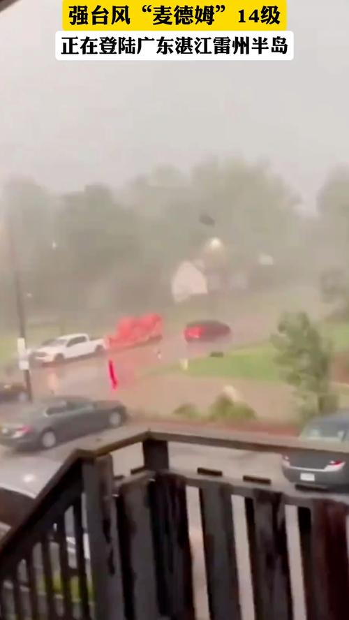 麦德姆登陆 狂风暴雨中树木猛摇