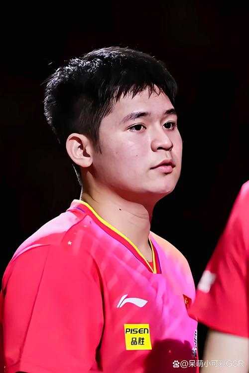 林诗栋不敌小勒布伦 无缘男单决赛