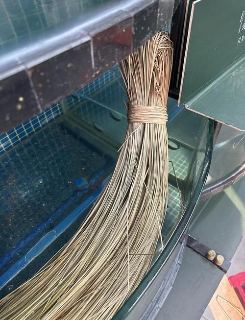 5两的大闸蟹捆了1两的绳子
