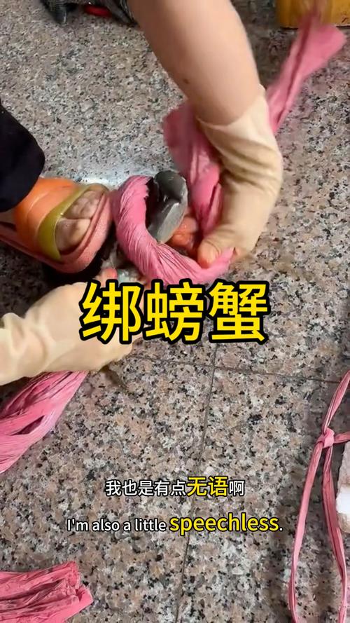 5两的大闸蟹捆了1两的绳子