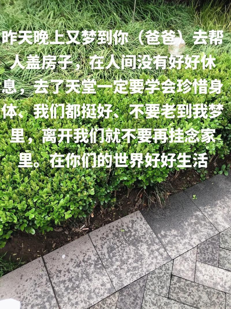 你牵挂了17年的他们都在好好生活