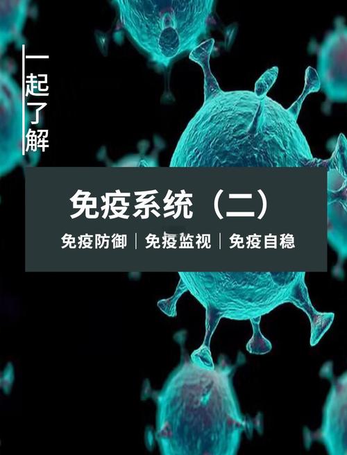 他们找到了免疫系统的“安全卫士”