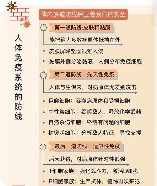 他们找到了免疫系统的“安全卫士”
