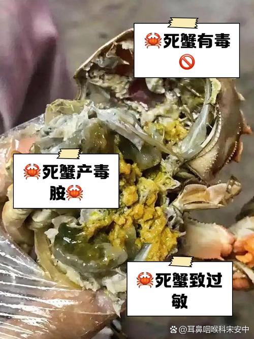 刚死不久的螃蟹能吃吗