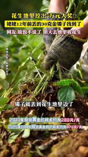 收花生找到姥姥丢了12年的金镯子