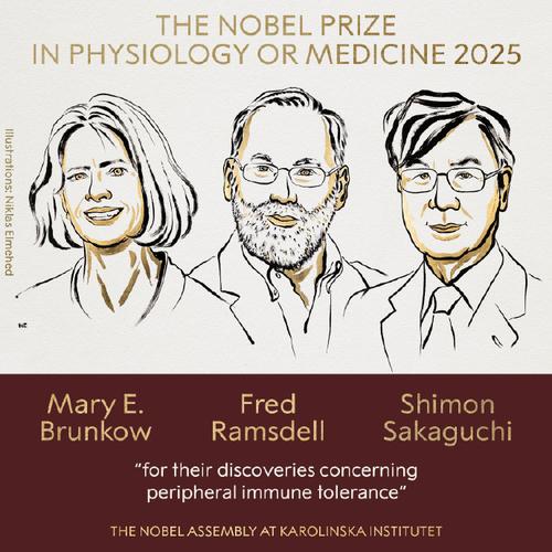 2025年诺贝尔生理学或医学奖揭晓