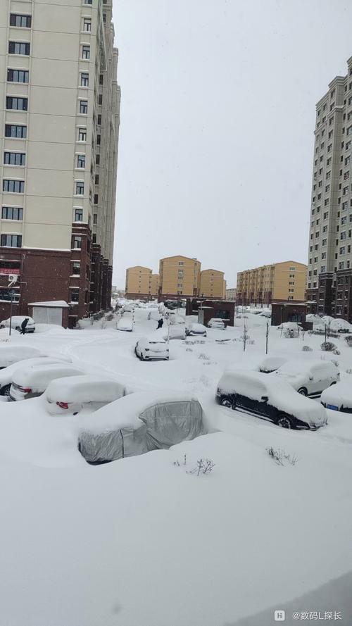 黑龙江漠河迎来雨雪天气