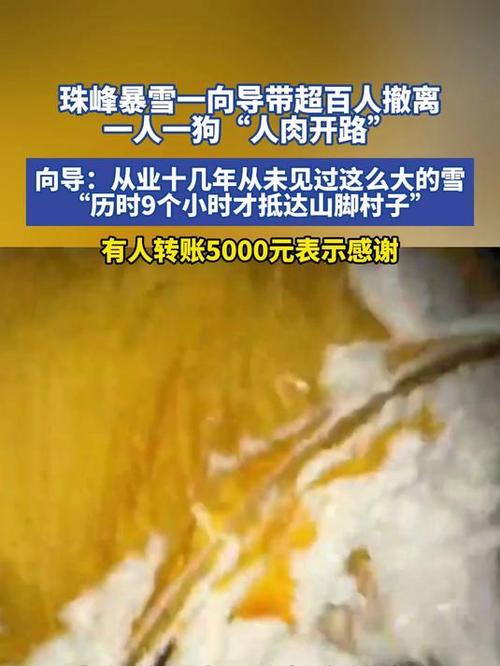 珠峰暴雪 向导一人一狗带上百人撤离