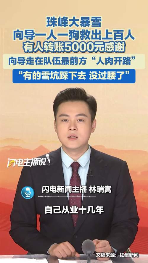 珠峰暴雪 向导一人一狗带上百人撤离