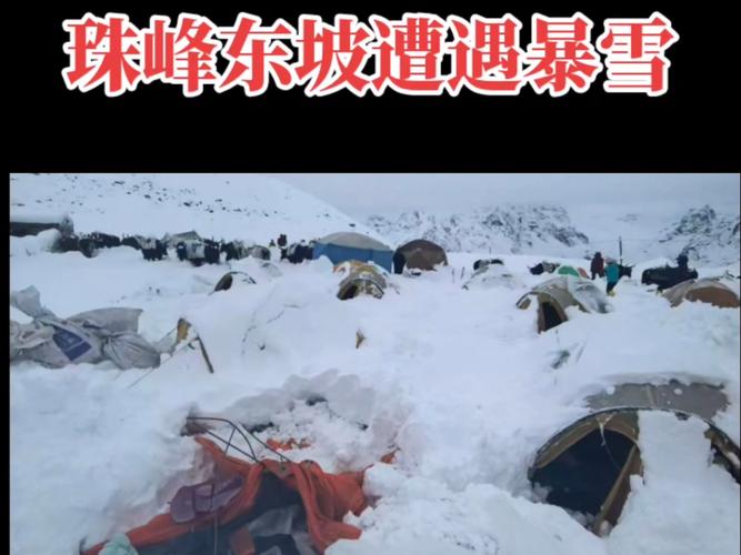 珠峰暴雪 向导一人一狗带上百人撤离