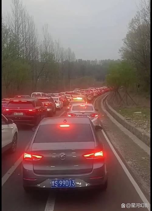 中国人放假 东非大草原都堵车了