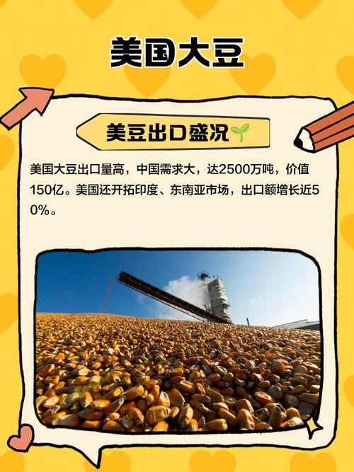 中国近半年没买过美国一粒大豆