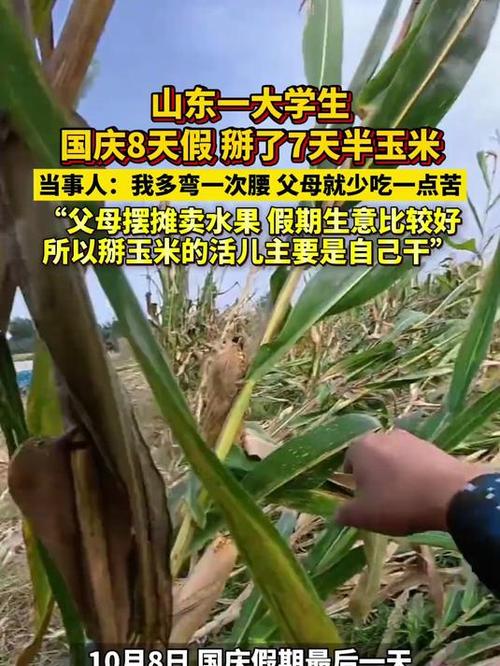 大学生国庆8天假掰了7天半玉米