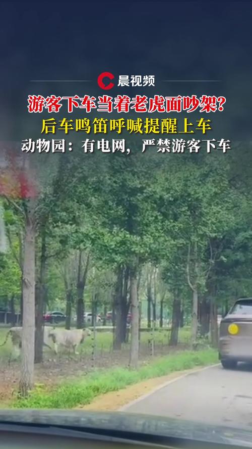 观光车压碎老虎下巴?动物园回应