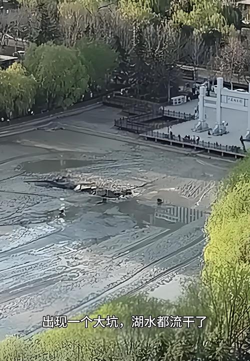 洛阳一水库漂满垃圾 系饮用水源地