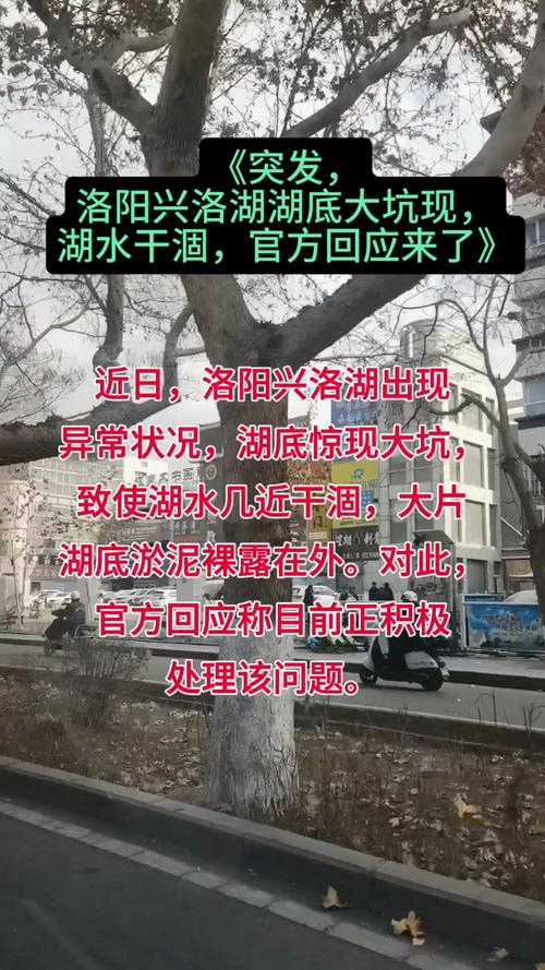 洛阳一水库漂满垃圾 系饮用水源地