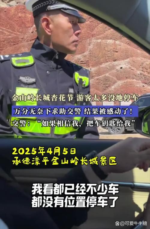 越野车山路逆行 交警霸气拦截