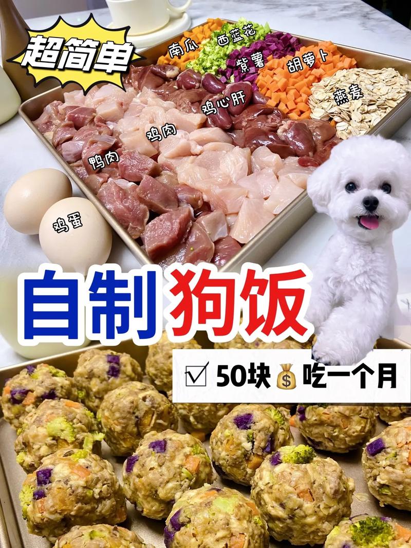 狗粮制作短视频怎么做的