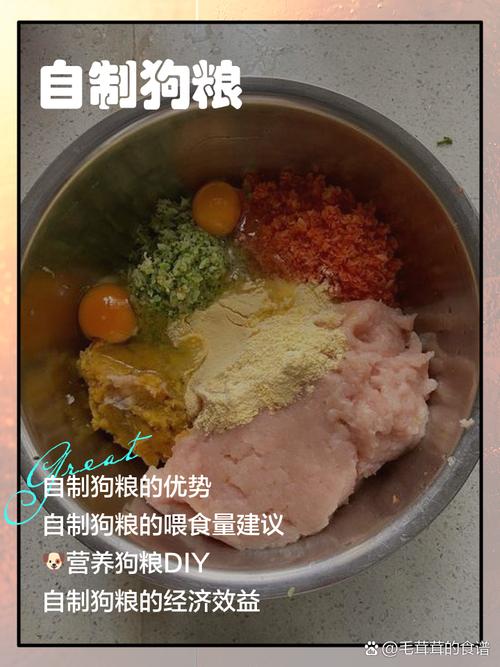 狗粮制作短视频怎么做的
