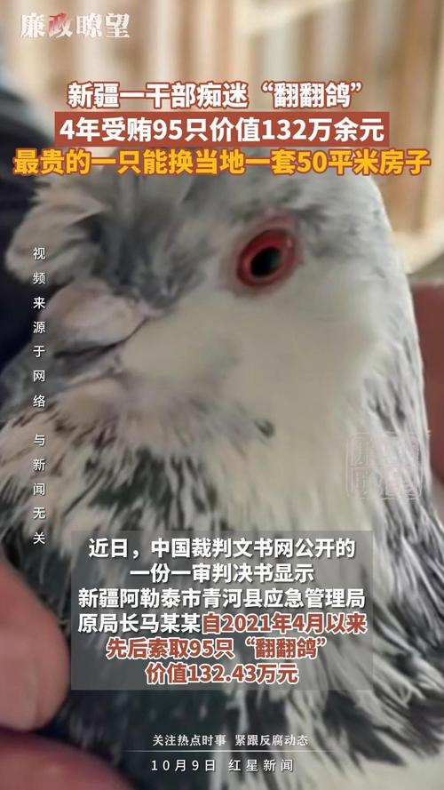 干部痴迷“翻翻鸽”4年受贿95只