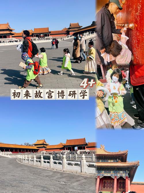 七次大清理 故宫到底有多少件宝贝