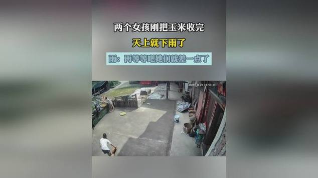 下雨天女儿请吊车帮父母收玉米