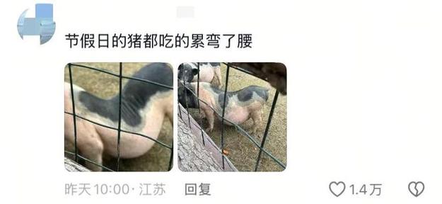 假期动物园内动物已吃出“工伤”