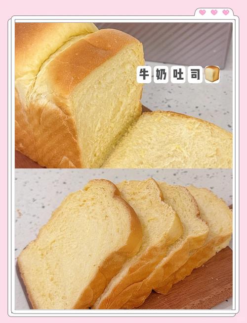 怎么导入吐司Ai模型