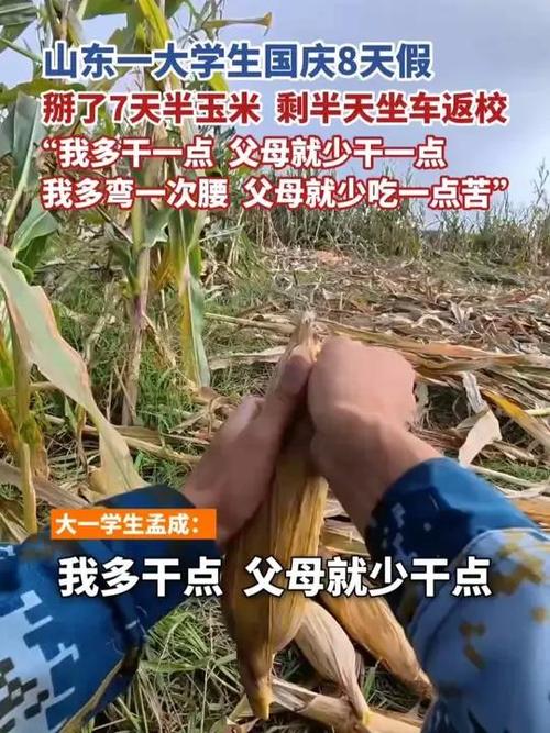 大学生8天假期掰了7天半玉米