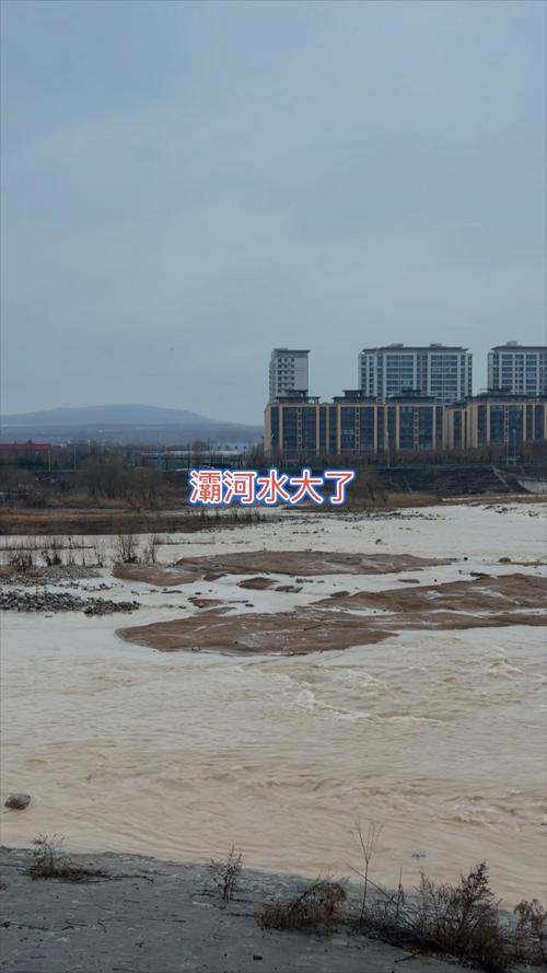 渭河出现2025年1号洪水
