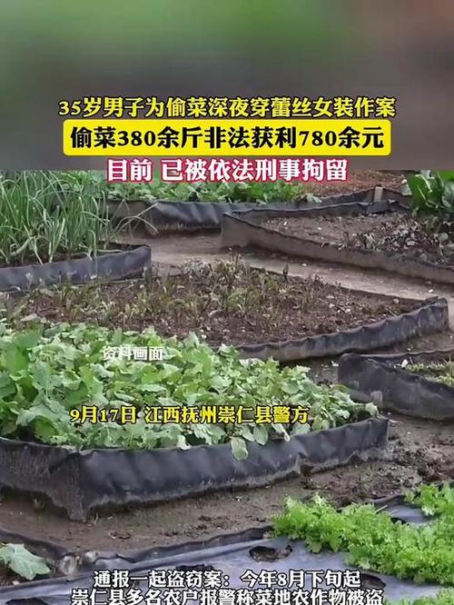 男子4个月偷菜18次获刑6个月