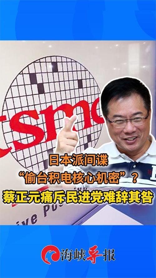 蔡正元:高雄的民进党候选人乱成一团