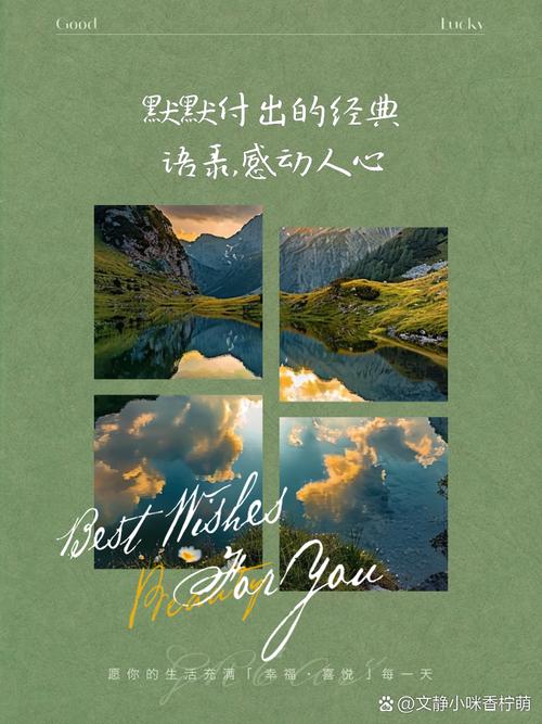 不张扬 自闪耀 她们自成星辰