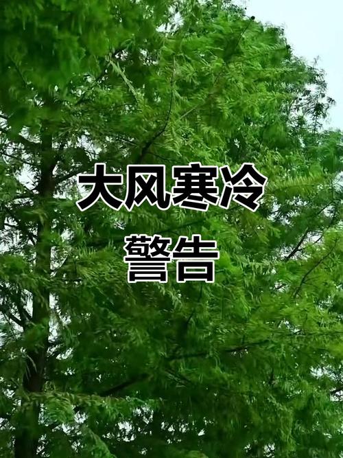 今年下半年来最强冷空气来袭