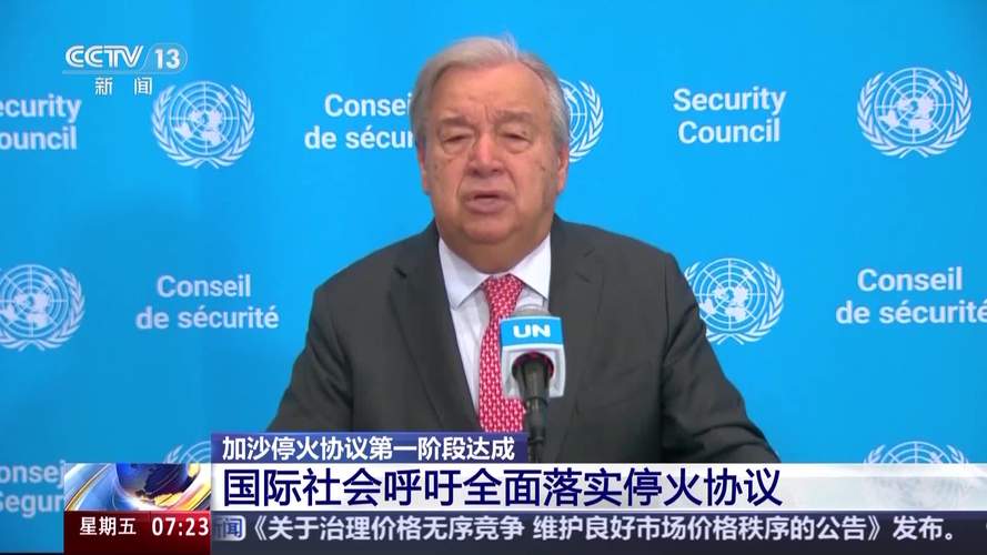 埃尔多安:各方不得违反加沙停火协议