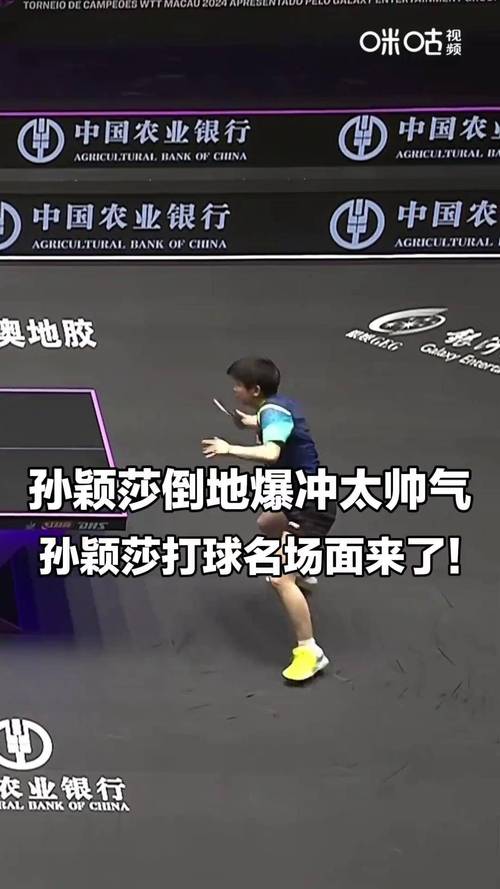 孙颖莎救球把球桌都撞移位了