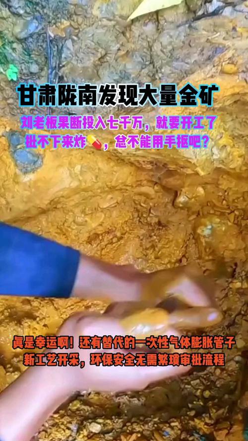 甘肃一地发现大型金矿 资源量超40吨