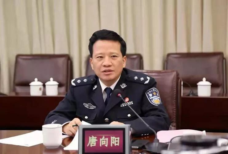 长沙原副市长唐向阳被逮捕