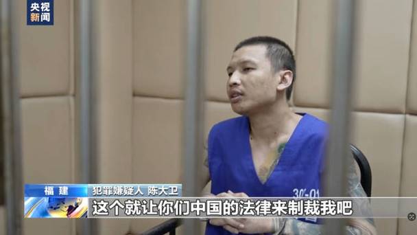 缅北魏家和刘家犯罪集团专案侦破