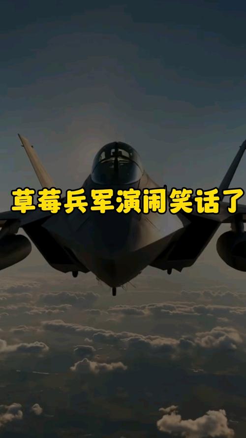 韩媒讽刺台军“草莓兵”引各界讨论