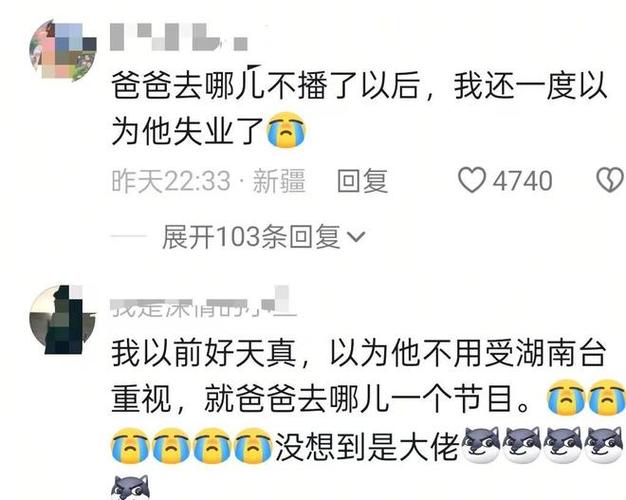 “村长”李锐已从湖南卫视离职