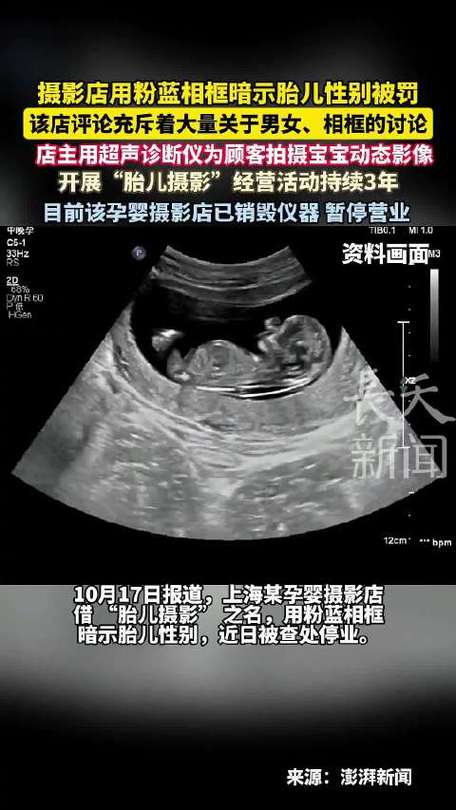 摄影店用粉蓝相框暗示胎儿性别被罚